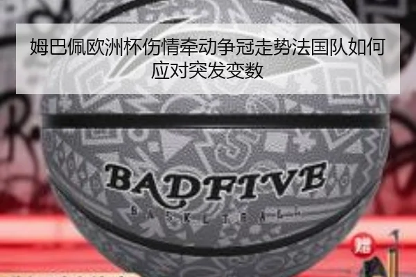 img_1781924985631_5_1_813.jpg